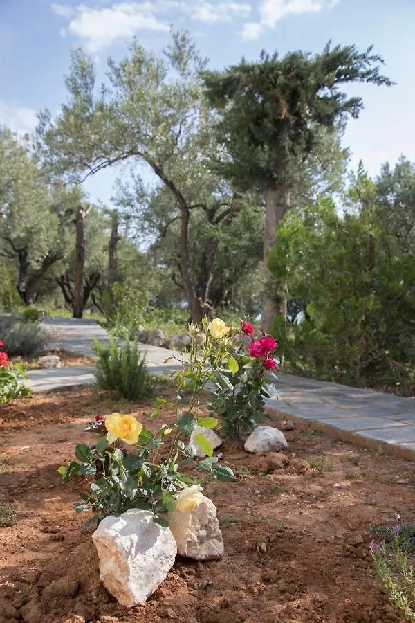 אפיטוס Kahlenberg Apartments 0*,